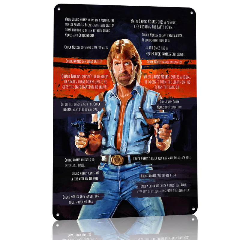 Chuck Norris Memes Metallposte – Retro Gaming Meme Bewertung und Preis